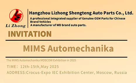 Hangzhou Lizhong Shengteng Automotive Parts Co., Ltd.
